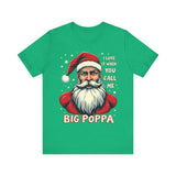 Sarcastic "I Love It When You Call Me Big Poppa" Santa Tee