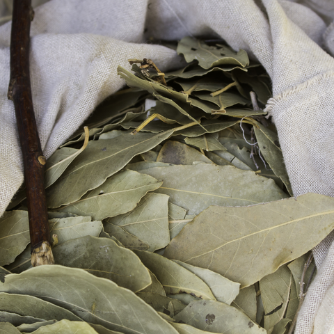 Bay Leaves Whole (Laurus Nobilis)