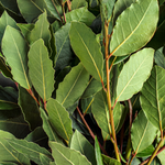 Bay Leaves Whole (Laurus Nobilis)