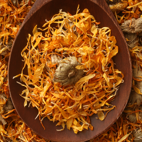 Calendula Flower Buds & Petals