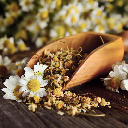 Chamomile Flower Herb