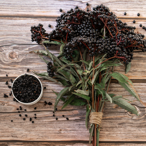 Elder Berries Whole (Sambucus Nigra)