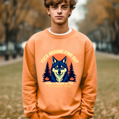 Sarcastic FAFO Wolf Statement Sweatshirt