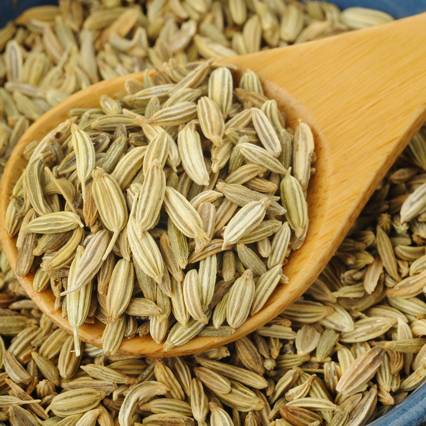 Fennel Seeds (Foeniculum Vulgare)