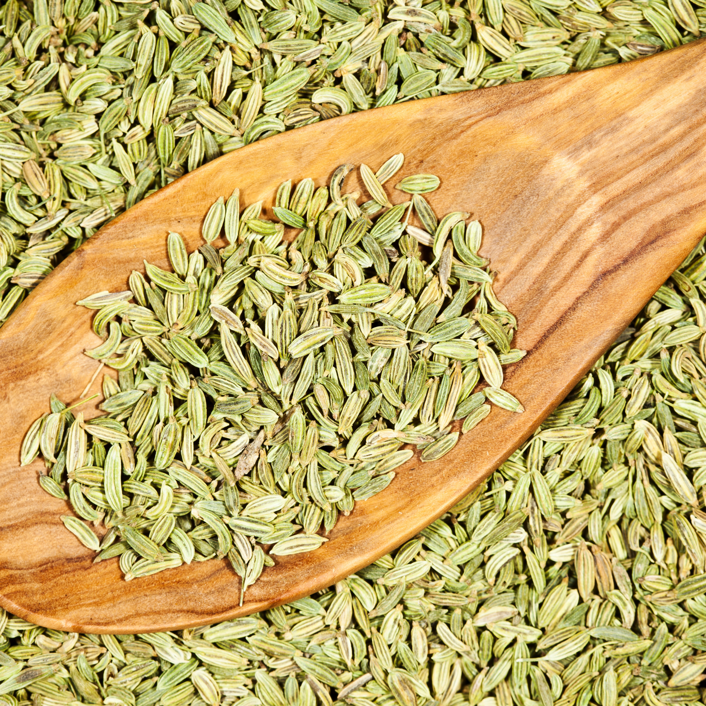 Fennel Seeds (Foeniculum Vulgare)