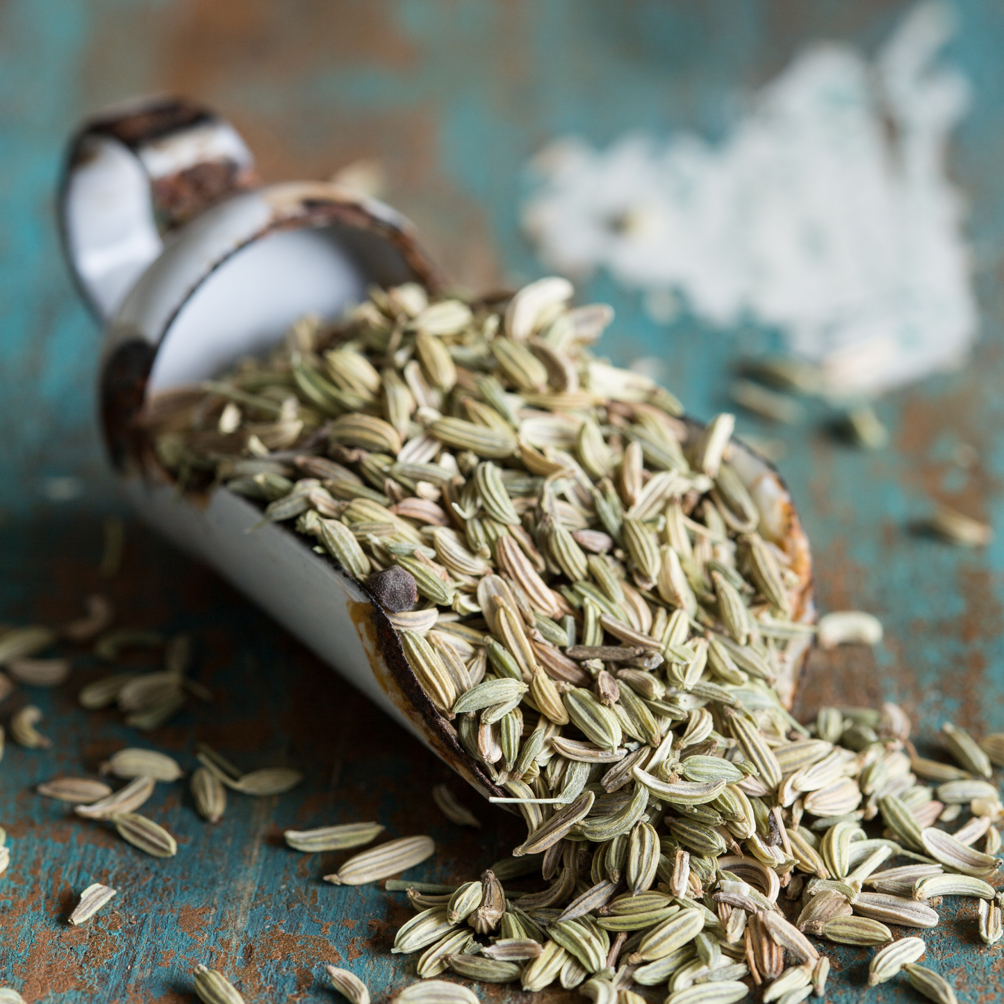 Fennel Seeds (Foeniculum Vulgare)