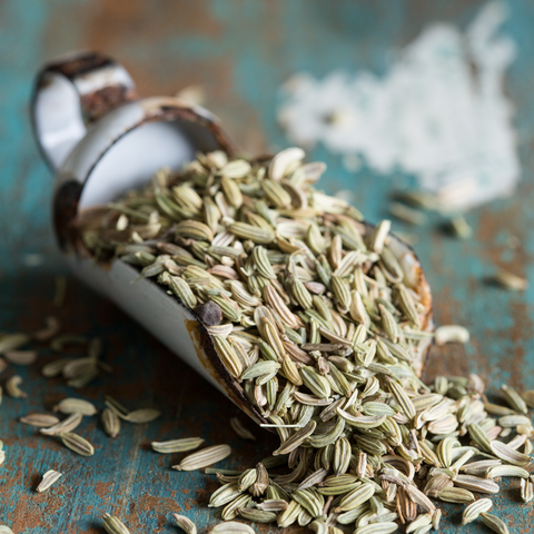 Fennel Seeds (Foeniculum Vulgare)