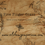 Five Finger Grass (Cinquefoil)