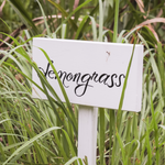 Lemongrass Cut