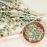 Motherwort Cut