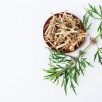 Motherwort Cut