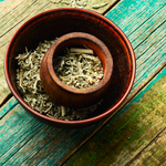 Mugwort Cut (Artemisia Vulgaris)