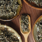 Mugwort Cut (Artemisia Vulgaris)