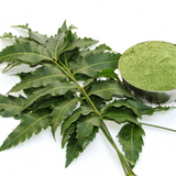 Neem Leaf Powder Organic (Azadirachta Indica)