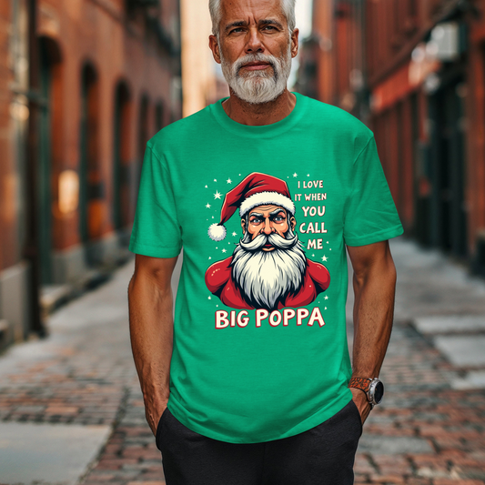 Sarcastic "I Love It When You Call Me Big Poppa" Santa Tee