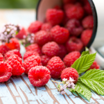 Raspberry Leaf Cut (Rubus Idaeus)
