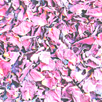 Rose Petals Pink (Rosa Gallica)