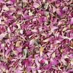 Rose Petals Pink (Rosa Gallica)