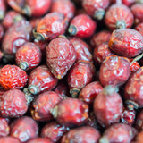 Rose Hips Cut & Sifted (Rosa Canina)