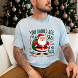 Funny Santa Tee, "You Should See The Size Of My Sack" Sarcastic Christmas T-Shirt