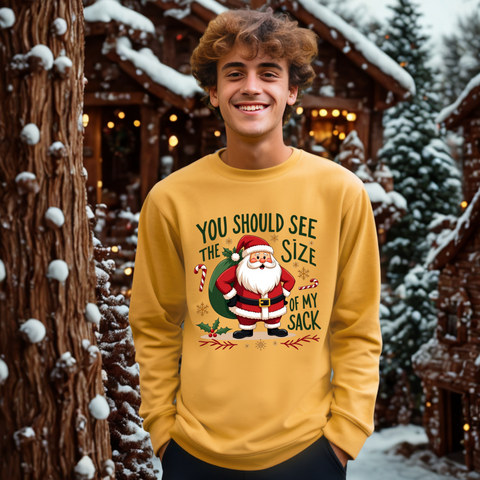 Funny Santa Sweater, "You Should See The Size Of My Sack" Sarcastic Christmas Sweatshirt