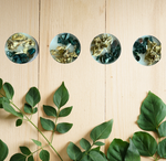 Release & Renewal Intention Tealights
