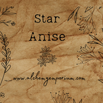 Star Anise Whole (Illicium Verum)