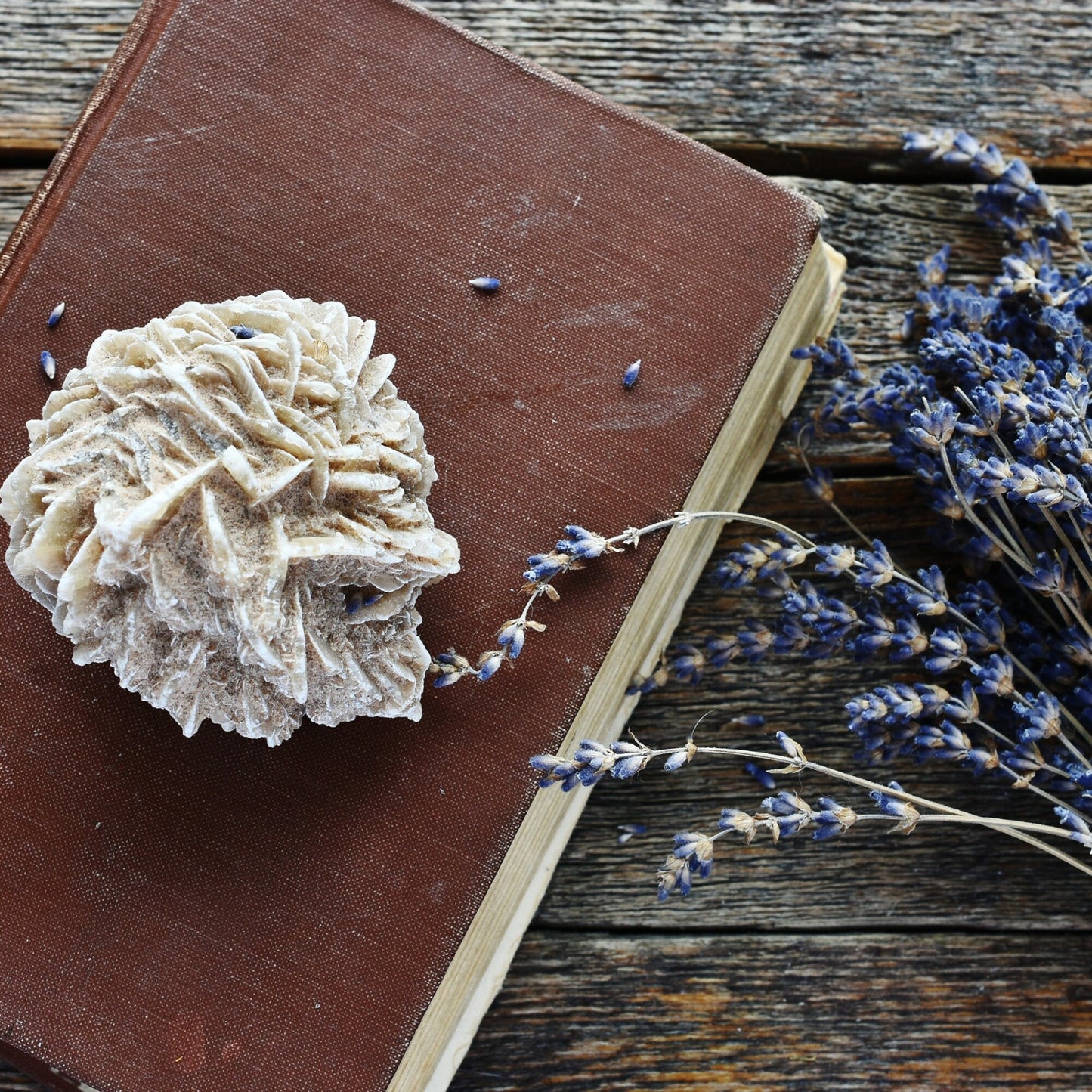 Desert Rose Untumbled Crystal
