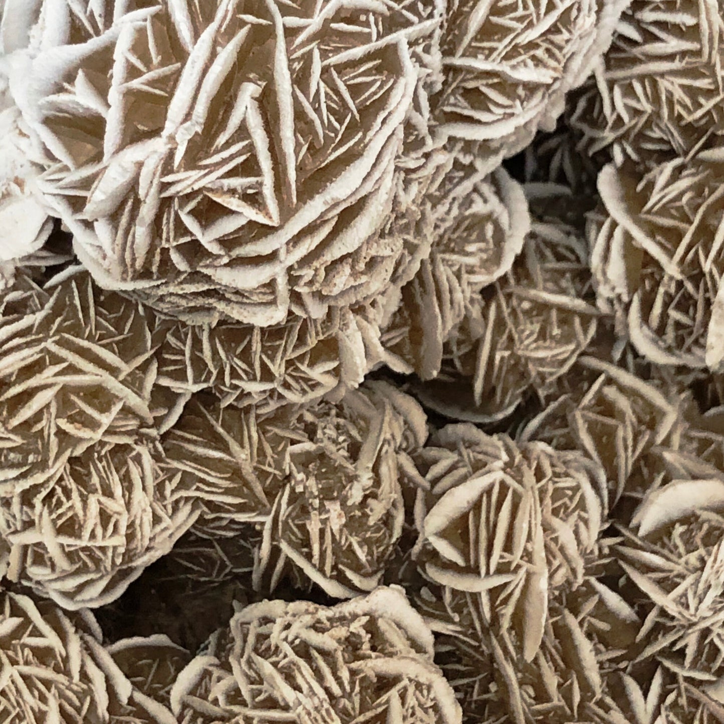 Desert Rose Untumbled Crystal