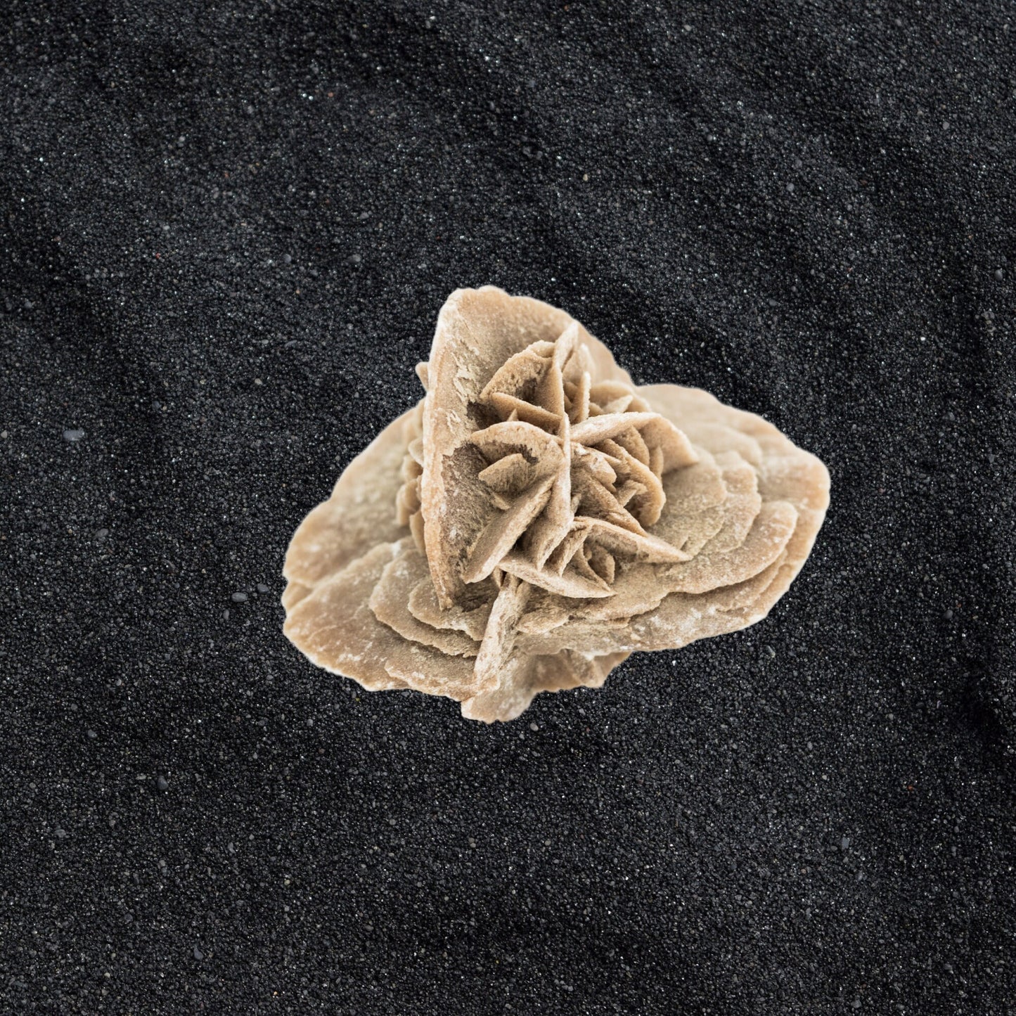Desert Rose Untumbled Crystal