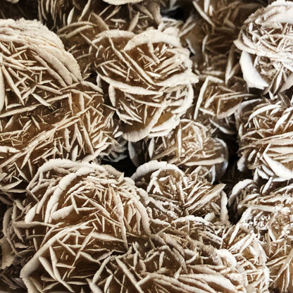 Desert Rose Untumbled Crystal