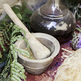 Beginner Herb Sampler
