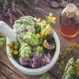 Beginner Herb Sampler