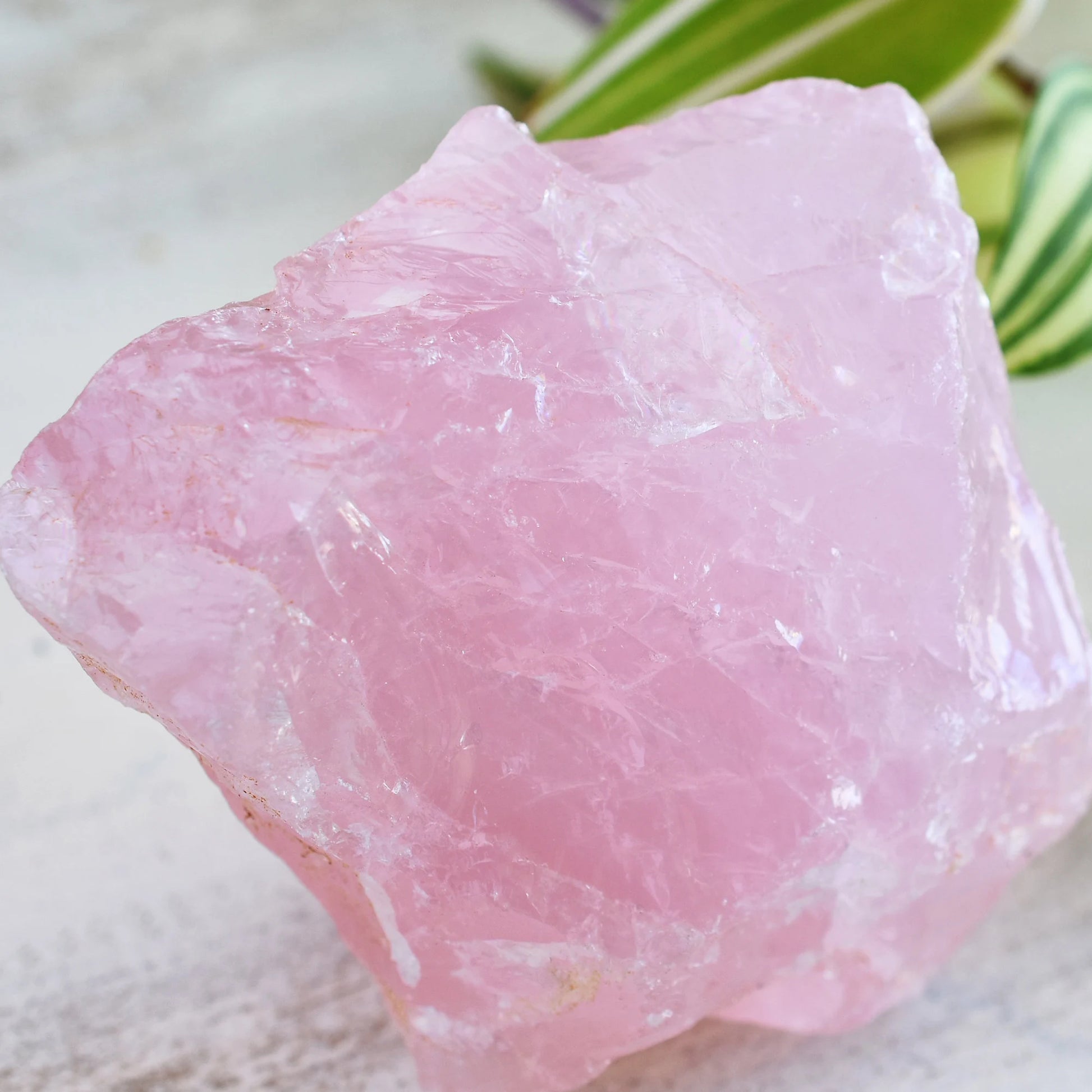 Untumbled Rose Quartz Crystal – Alchemy Emporium