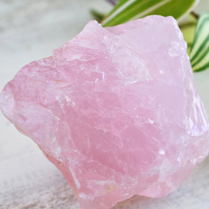 Untumbled Rose Quartz Crystal