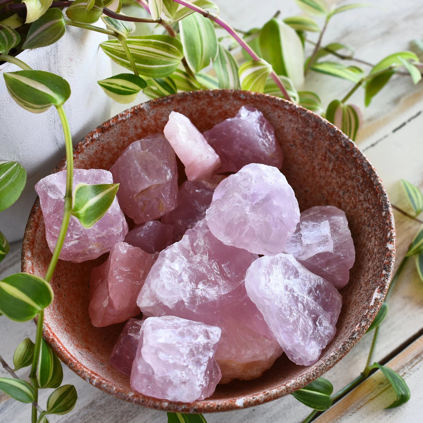 Untumbled Rose Quartz Crystal – Alchemy Emporium