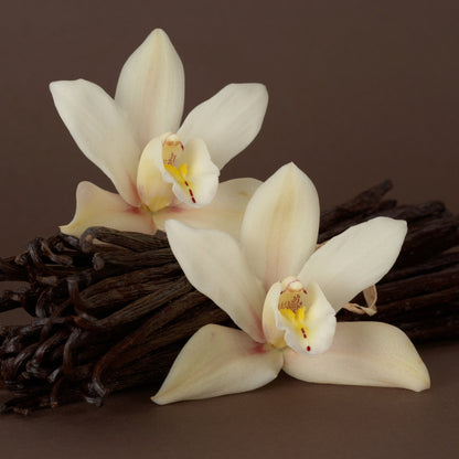 Vanilla Anointing Oil