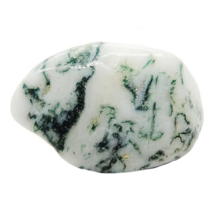 Moss Agate Tumbled Crystal