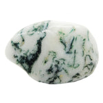 Moss Agate Tumbled Crystal