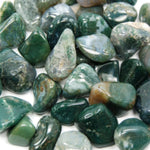Moss Agate Tumbled Crystal