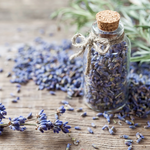 Organic Lavender Flowers