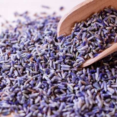 Organic Lavender Flowers