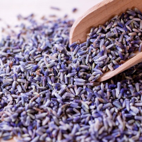 Organic Lavender Flowers Whole (Lavandula Angustifolia) - Lavender Tea - Tisane Ingredients