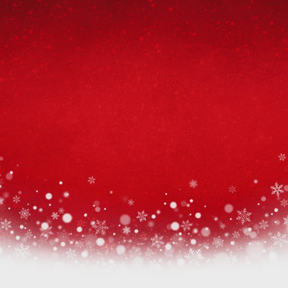 Funny "Ho Ho Ho Holy Sh*t What a Year" Christmas Tee