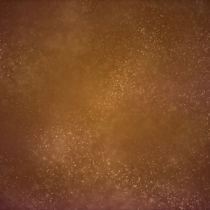 Gangsta Wrapper Sarcastic Christmas Tee