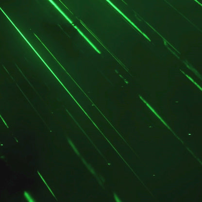 Chaos Pixie Absinthe Fantasy Graphic Tee