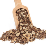 Angelica Root (Angelica Archangelica)