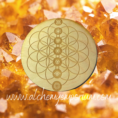 Flower of Life Crystal Chakra Grid