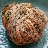 Rose of Jericho Resurrection Flower