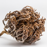 Rose of Jericho Resurrection Flower